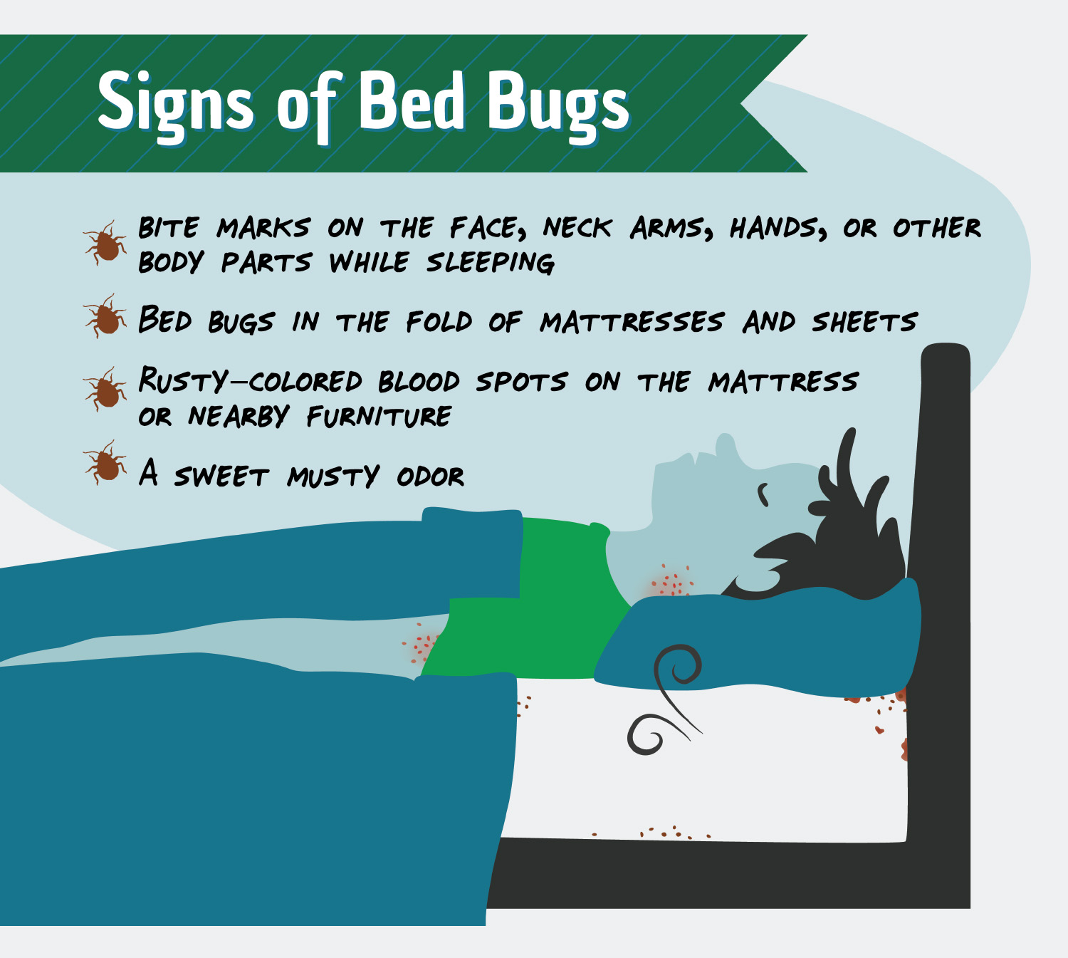 Bed Bug St. Louis in St. Louis, Missouri Offers Bed Bug Detection Services