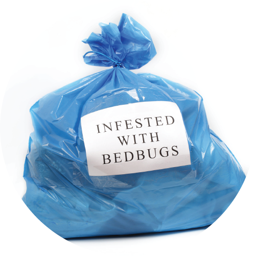 Bed Bug St. Louis in St. Louis, Missouri Provides Home and Travel Tips to Prevent Future Bed Bugs